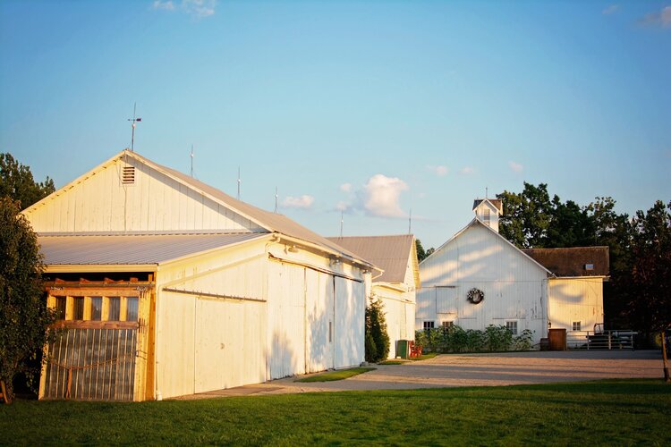 the palm tree barn exterior