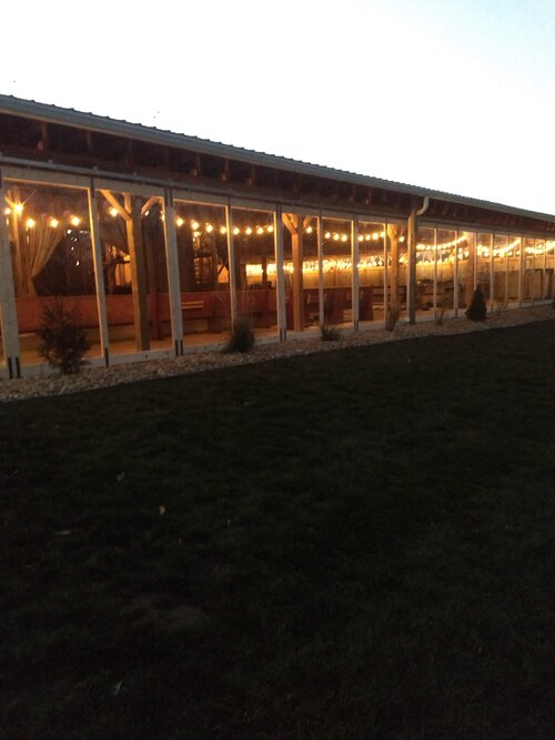 string lights inside palm tree barn venue
